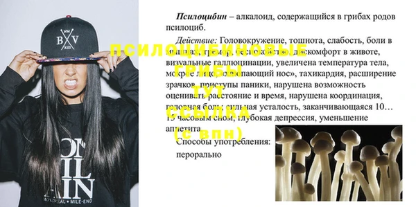 таблы Медвежьегорск