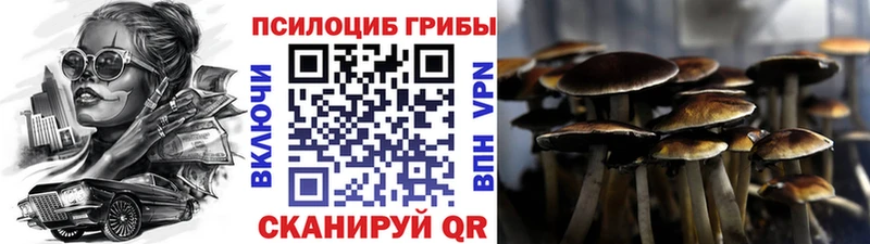 Псилоцибиновые грибы мухоморы Миллерово