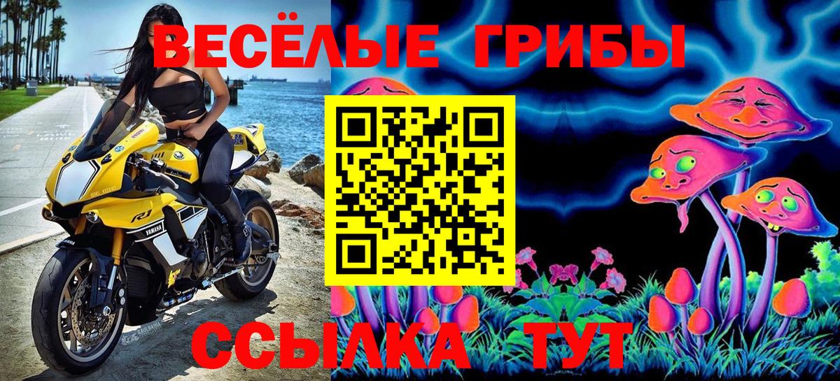 Миллерово  Псилоцибиновые грибы Psilocybe  где купить наркоту  Вход с VPN 