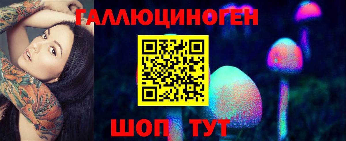 Галлюциногенные грибы Psilocybine cubensis Миллерово
